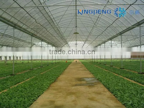 Plastic Poly Film sheet Greenhouse