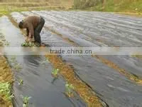 recycled agricultural/greenhouse/mulch plastic film