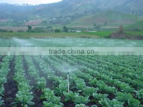 China supply 3/4'' or 2/1'' low angle rotating mist irrigation wobbler sprikler water