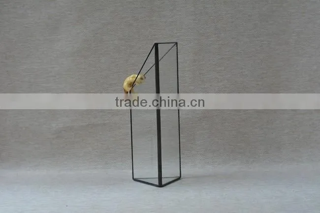 Micro landscape decoration succulents hydroponic containers indoor plant glass terrarium