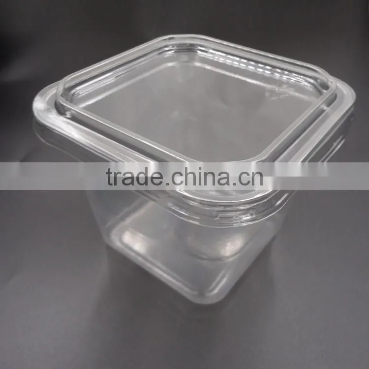 Disposable Plastic Takeaway Food Container with lid Sizes