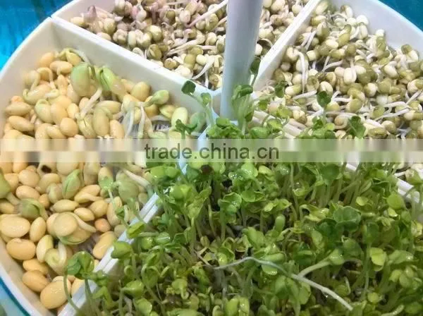 Automatic Bean Sprouter JL260C-Manufacturer/CE Certificate