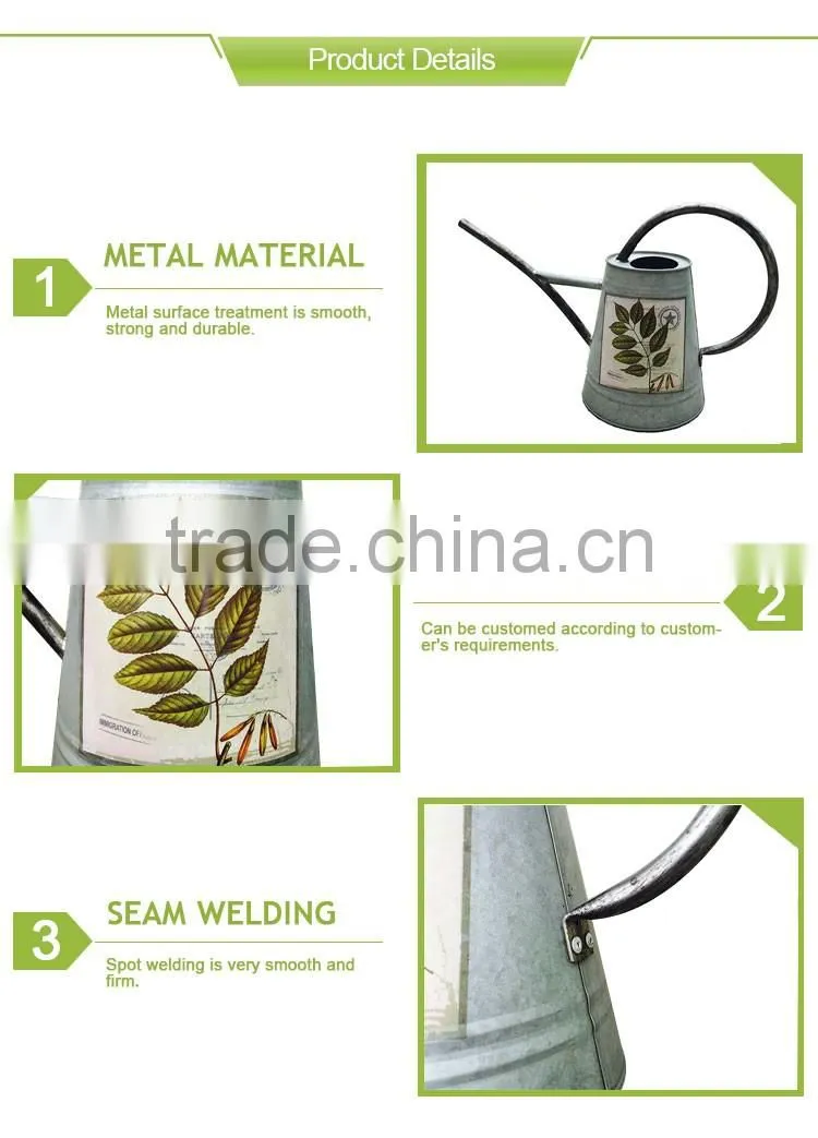Cheap Printed Zinc Metal Watering Can