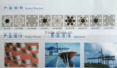 Superior Quality Galvanized Steel Wire Rope