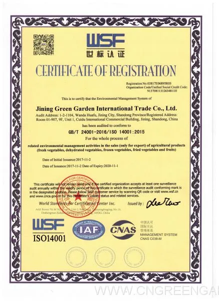 ISO9001