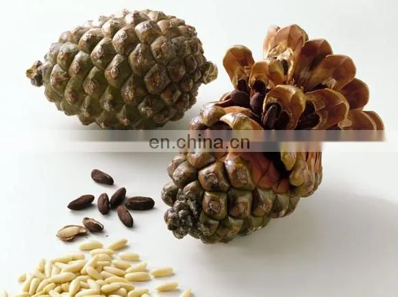 Pine cone processing machine | pine cone nuts sheller /shelling machine/ pinecone peeling machine