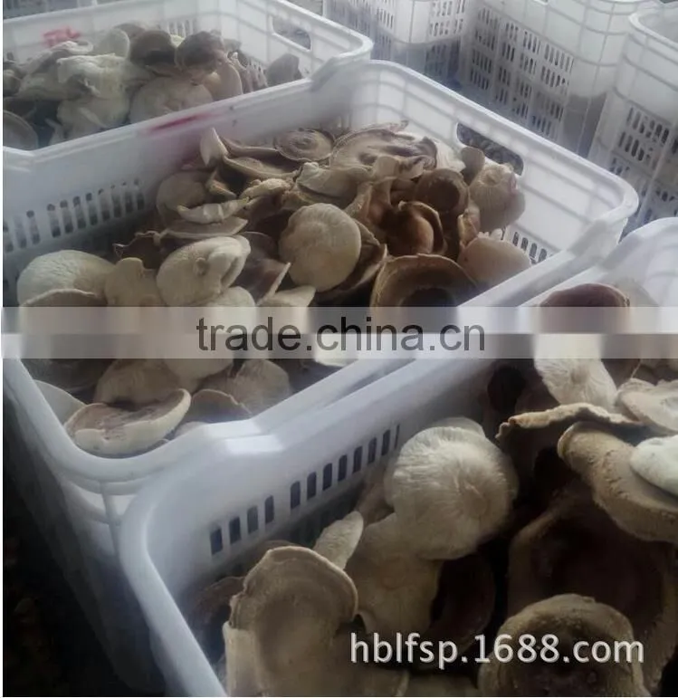 5-7 cm big cap Dried Smooth Low Price Shiitake Mushroom/ mushroom cap