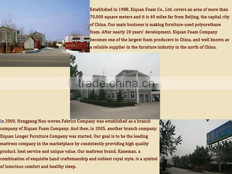 Furniture parts High quality PU Foam