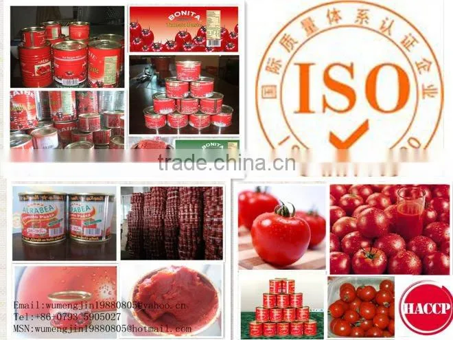 198g tomato paste to tomato sauce and tomato puree
