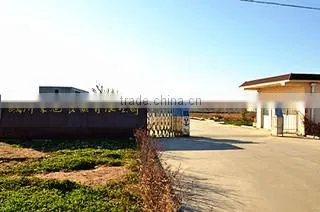 Linyi Dongxu Foods Co., Ltd. company overview - view 3