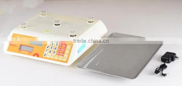 price of digital weighing scale
