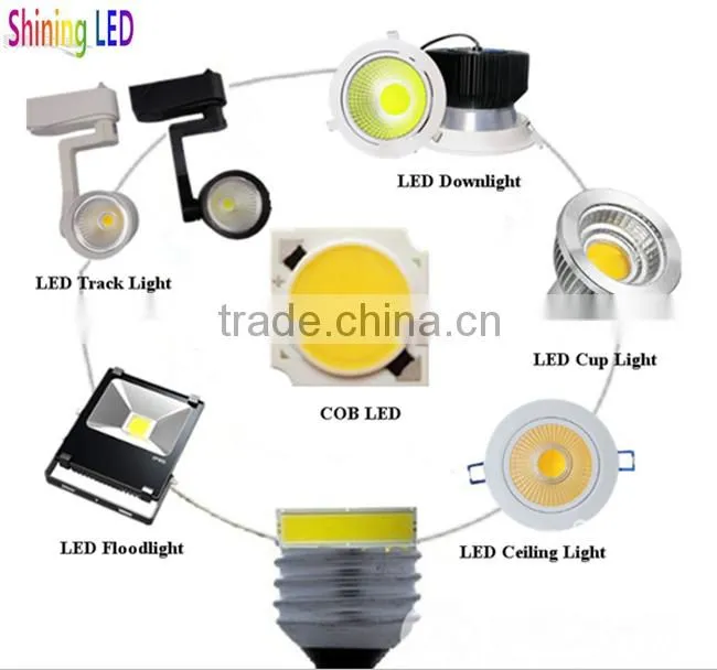 Withour Driver Epistar / Bridgelux Chip AC 110V/ 220V COB LED Diode 100W for LED Floodlight