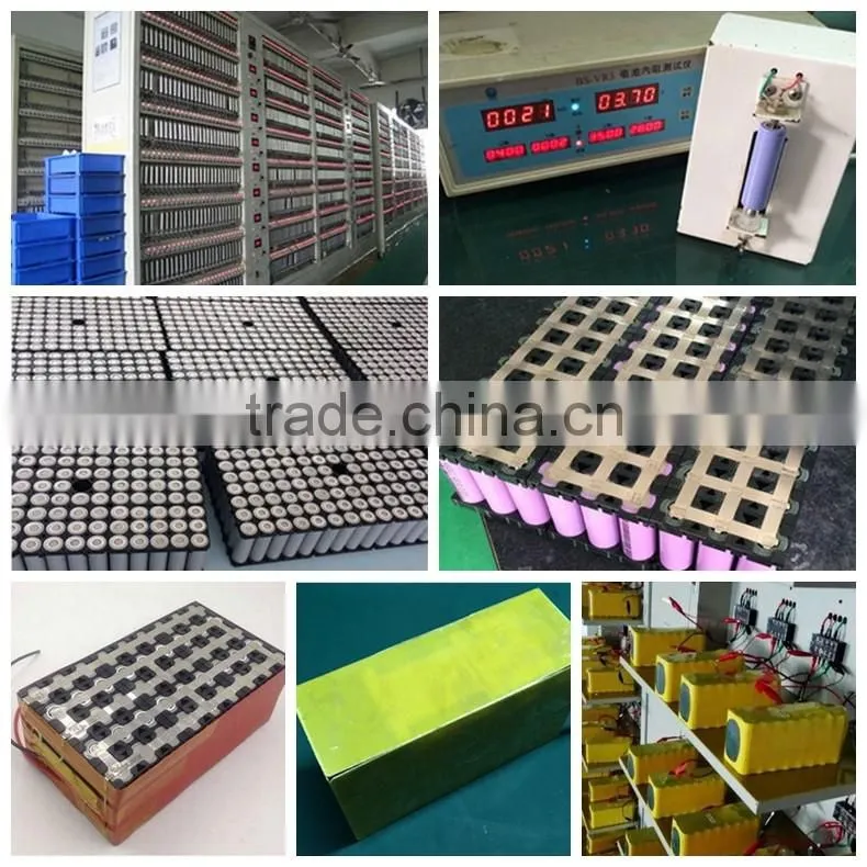 24V20.3AH Ebike Battery Pack(Hailong case) with branded 18650 cells for electric bike