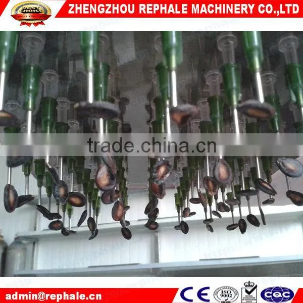 Vegetable grow seedling machine