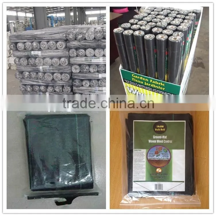 Agricultural pp weed mat shipping from china