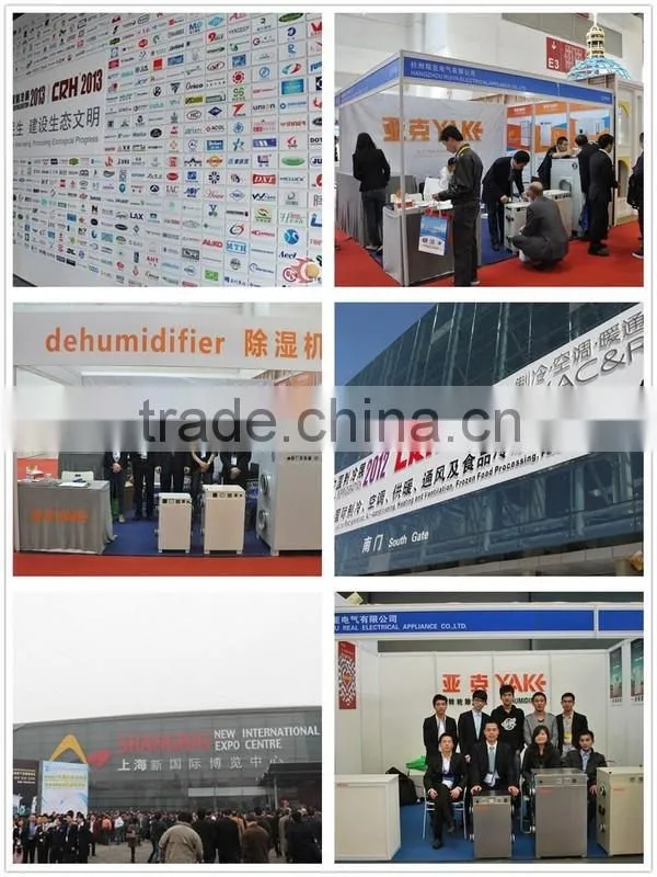 2016 New 56L Per Day Household Interior Dehumidifier