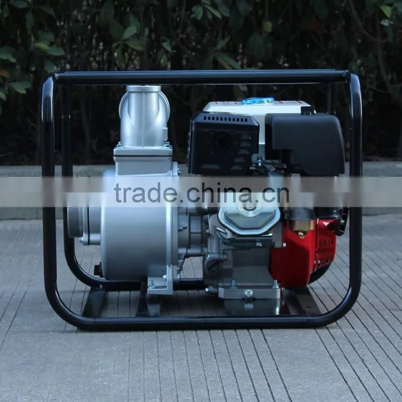 BISON(CHINA) BSWP40 Garden Tool Jet Pump Pressur Washer Pump