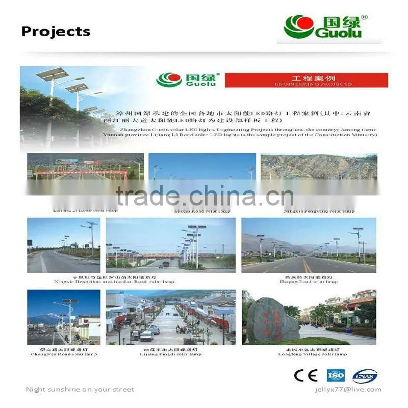 high efficacy 60w Solar energy LED floor lamp