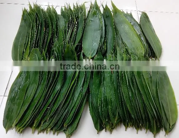 Vacuum Packed bamboo leaves for Sushi
