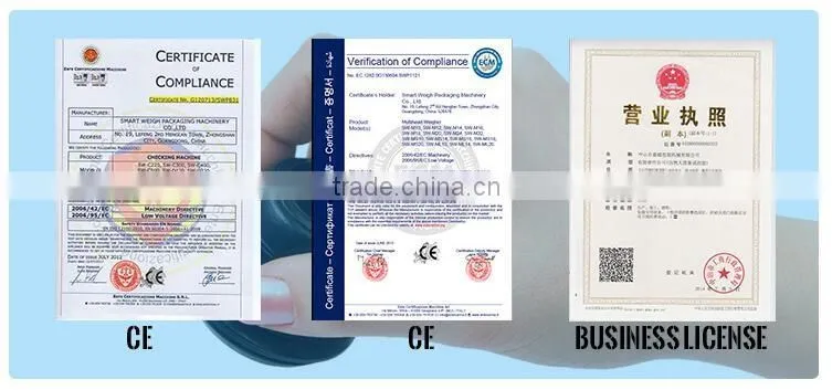 SW-P420 Pillow Bag Peanuts Packaging Machine