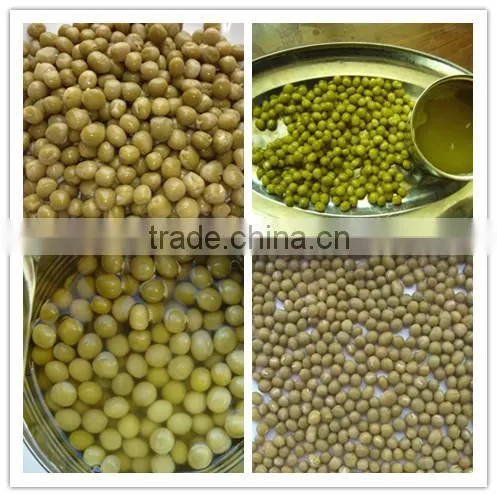 Canned fresh green peas with best price for sale
