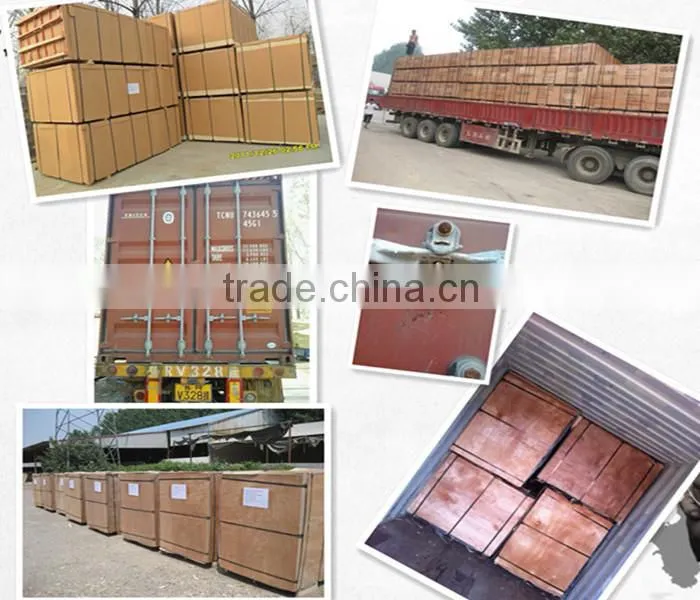 Pine core/Paulownia core/Malacca core 12mm blockboard