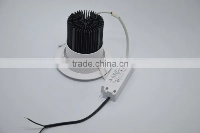 Bridgelux COB High Lumen Clear Diffuser 30w Led Downlight TEC002D30WCN