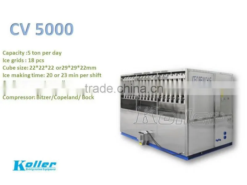 5 tons ice cube maker for human consumption