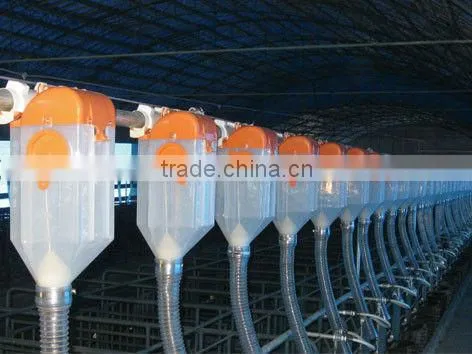 Automatic Poultry Equipment for Pig Raising
