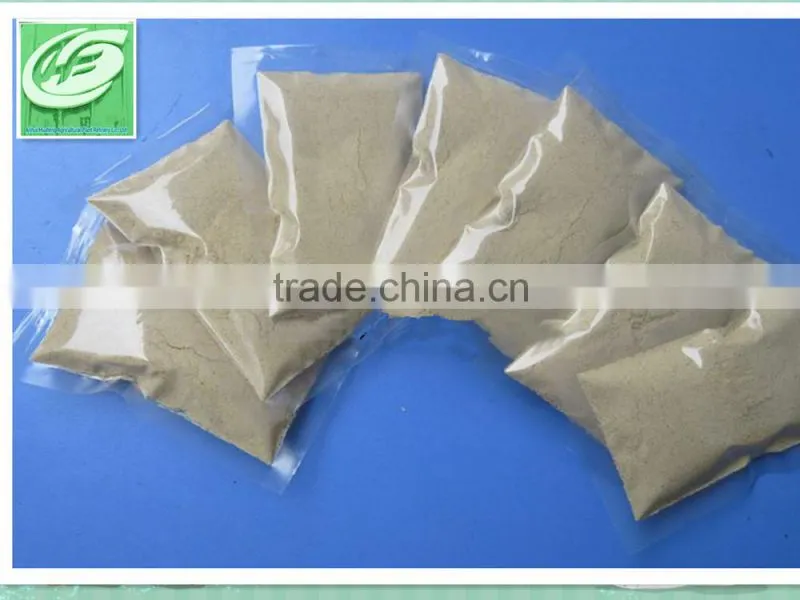 Factory Supply Best Ginger Root Powder