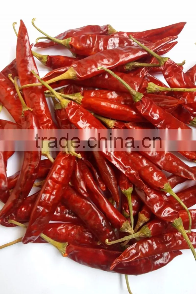 Exporters of Indian Sannam-S-4/334 Red Chilli Premium Grade