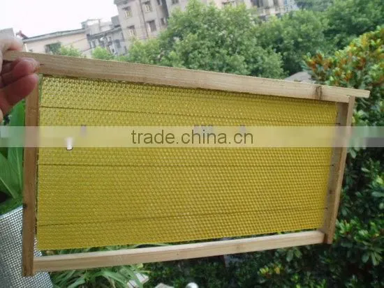 We are manufacturer in European markets for beeswax foundation sheet