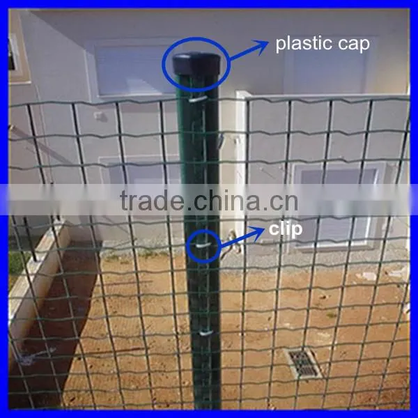 DM factory price Euro Fence at high quality