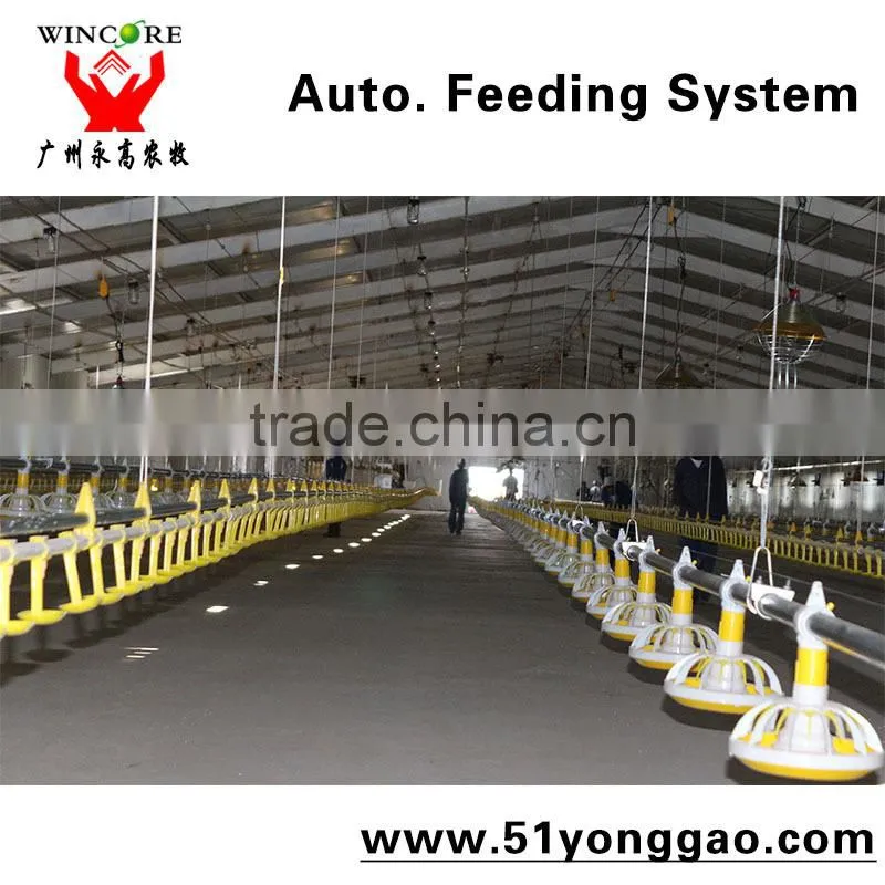 Automatic Poultry House Animal feeding line for broiler chicken Poultry equipment in Animal feeding system