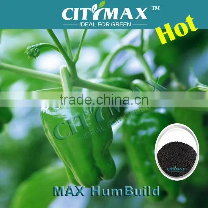 60% Humic Acid Dry Basis From Leonardite