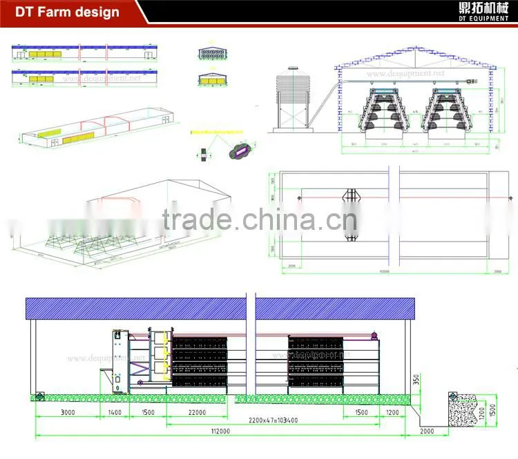 Design automatic equipment A type chicken house in poultry farm