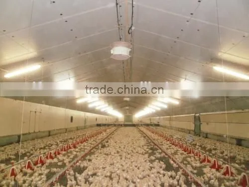Poultry fan/broiler breeder house fan/chicken fan/egg fan/cone fan/chicken farm