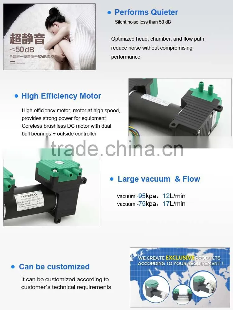 12v DC Membrane pressure Asbestos sampler pump