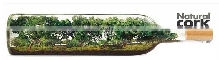 2017 Vegan Wallet leather wallet woman cork wallet