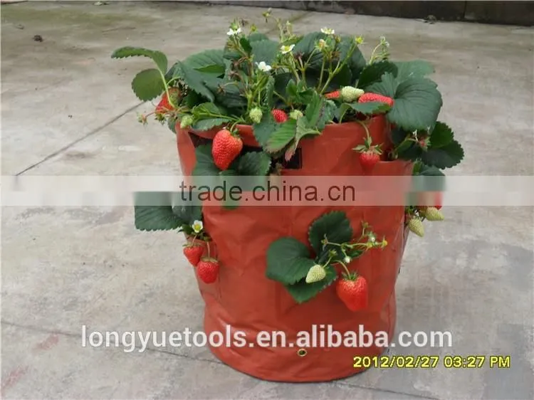 Disposable environmental cheap PE plastic grow bags fabric