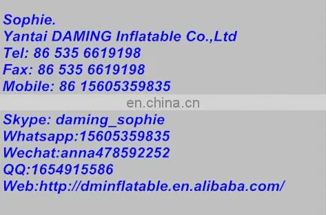 inflatable butterfly for club decoration