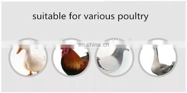 Best Selling Rubber chicken Plucker finger for many Different size