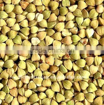 organic buckwheat
