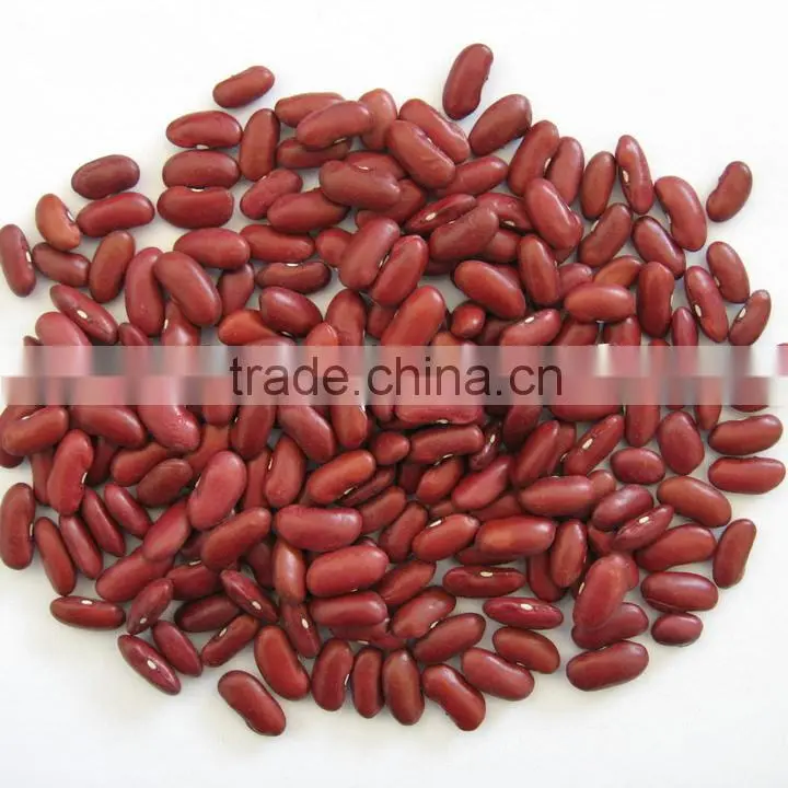 200-220 pcs/100g Chinese Dark Red Kidney Bean Prices