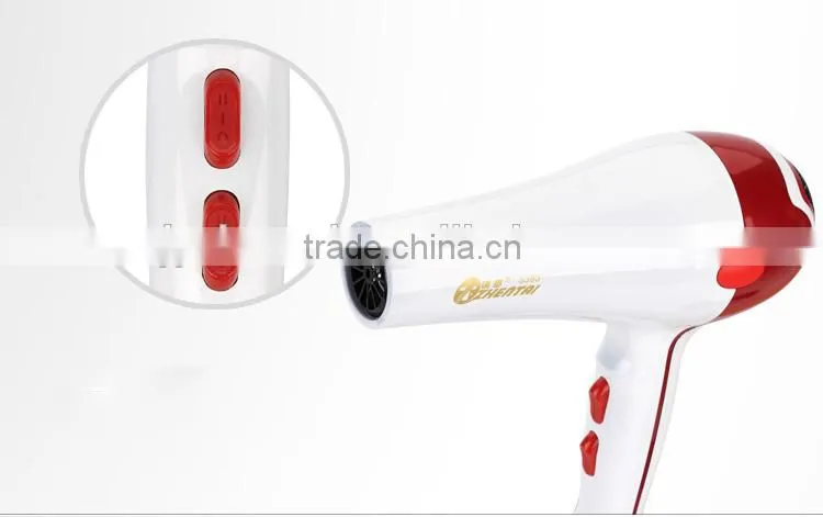 Professional Salon Hair Dryer Bathroom Mounting Hair Dryer Blow Dryer