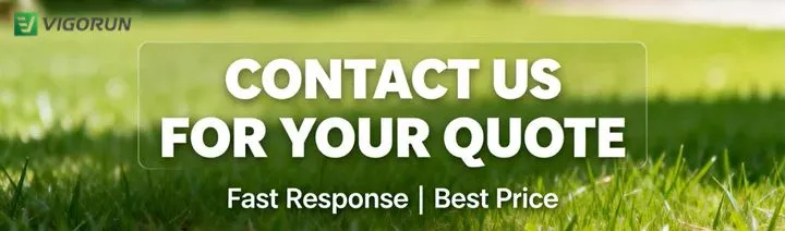 1.jpg.webp