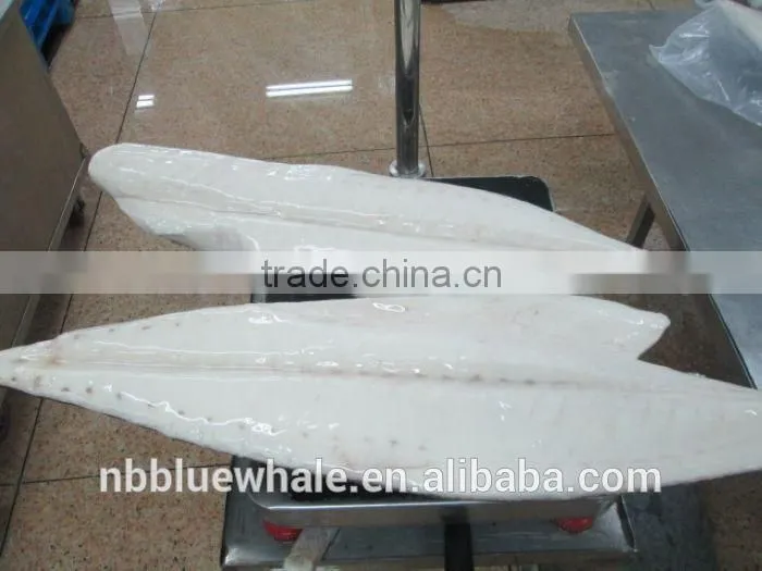 New oilfish HGT from ningbo blue whale co
