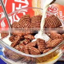 new tech Breakfast Cereals Manufacture Line/Plant
