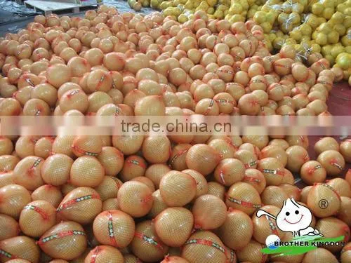 wholesale fresh honey pomelo