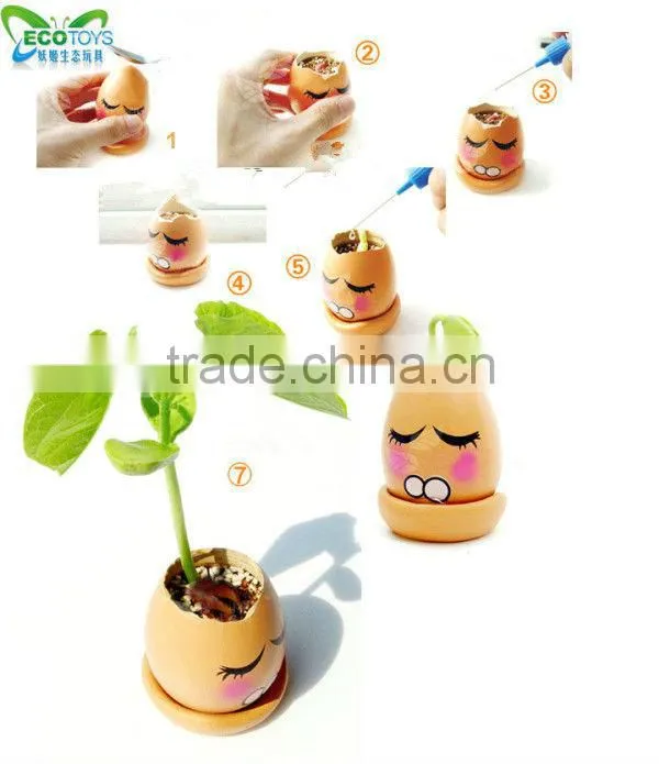Cute egg magic bean for DIY planting